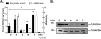 FIGURE 10.