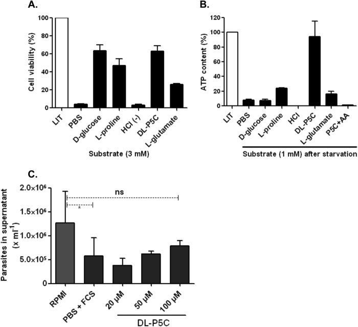 FIGURE 11.