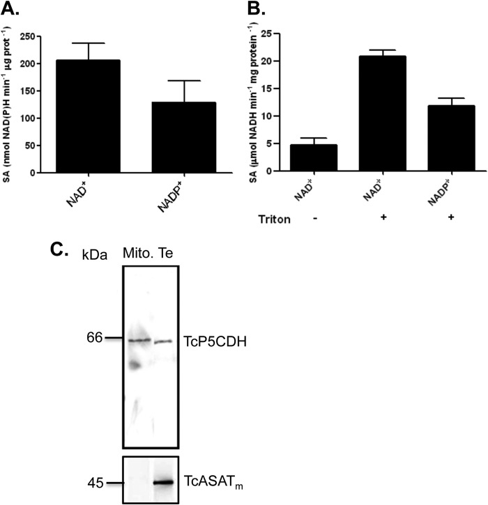 FIGURE 7.