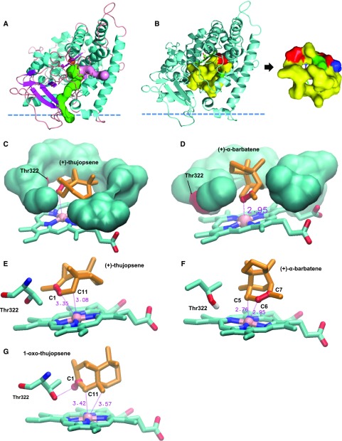 Figure 9.