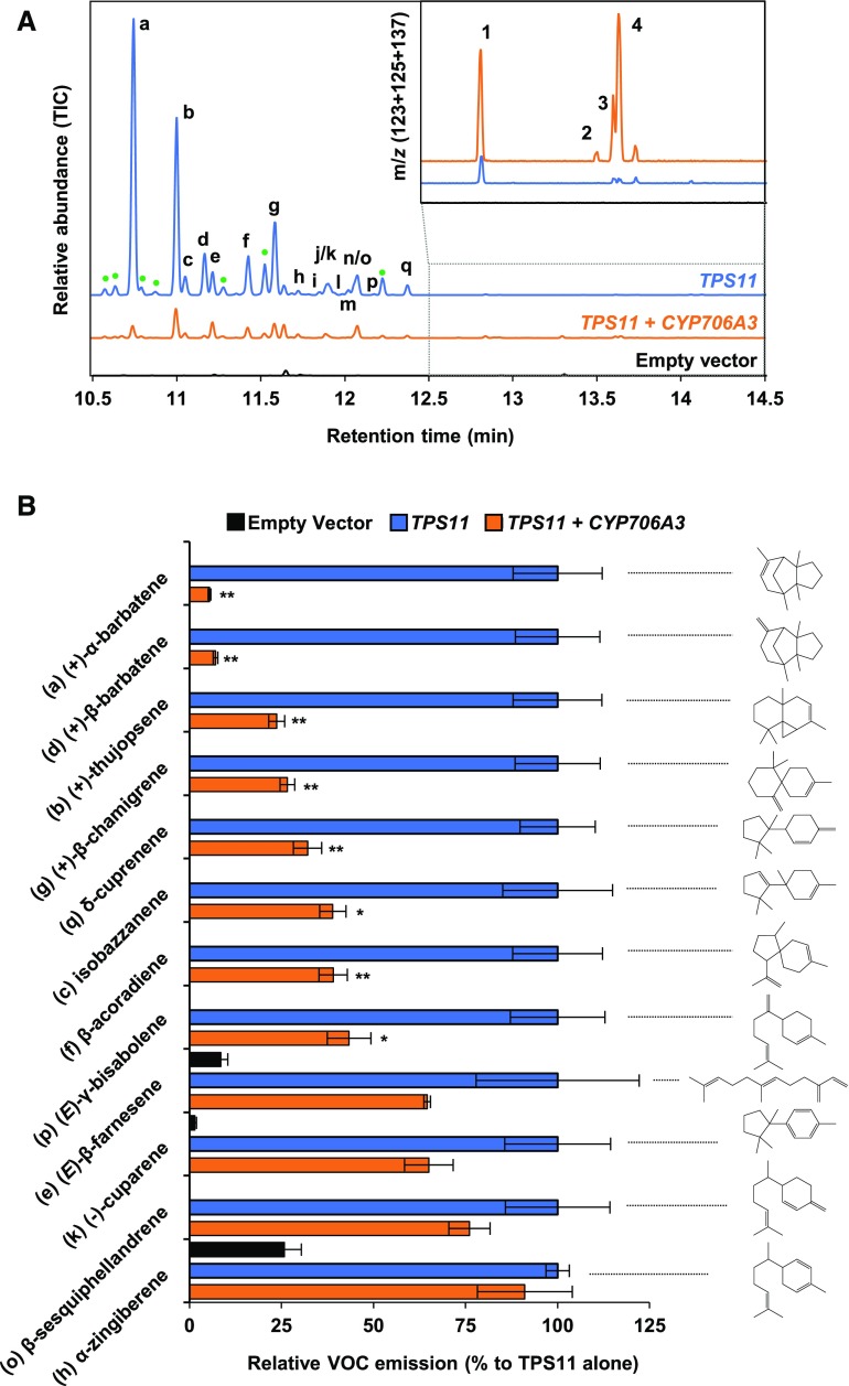 Figure 5.