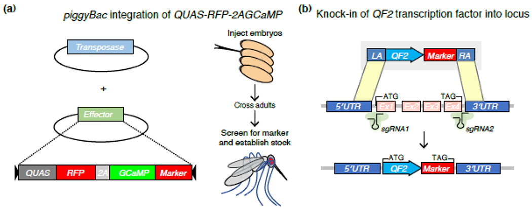 Figure 3: