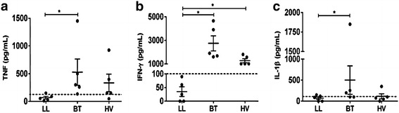 Fig. 3