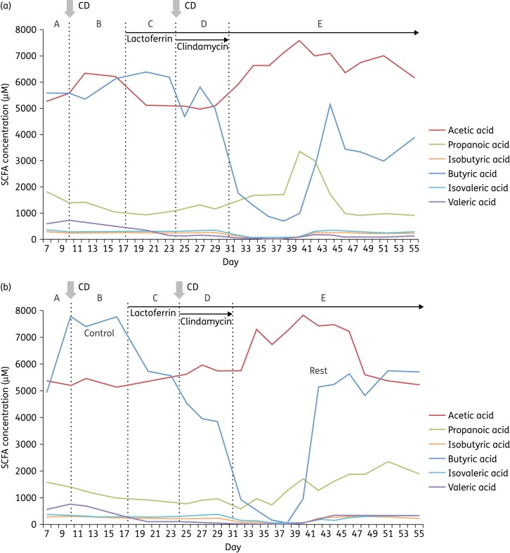 Figure 4.