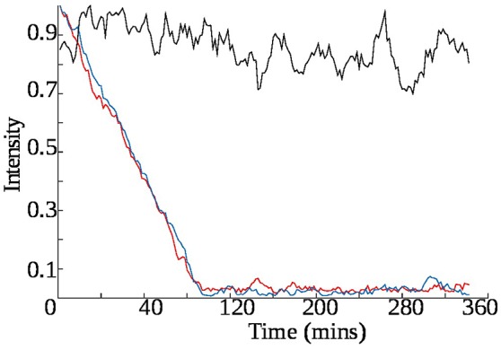 Figure 10