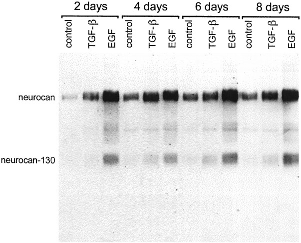 Fig. 9.