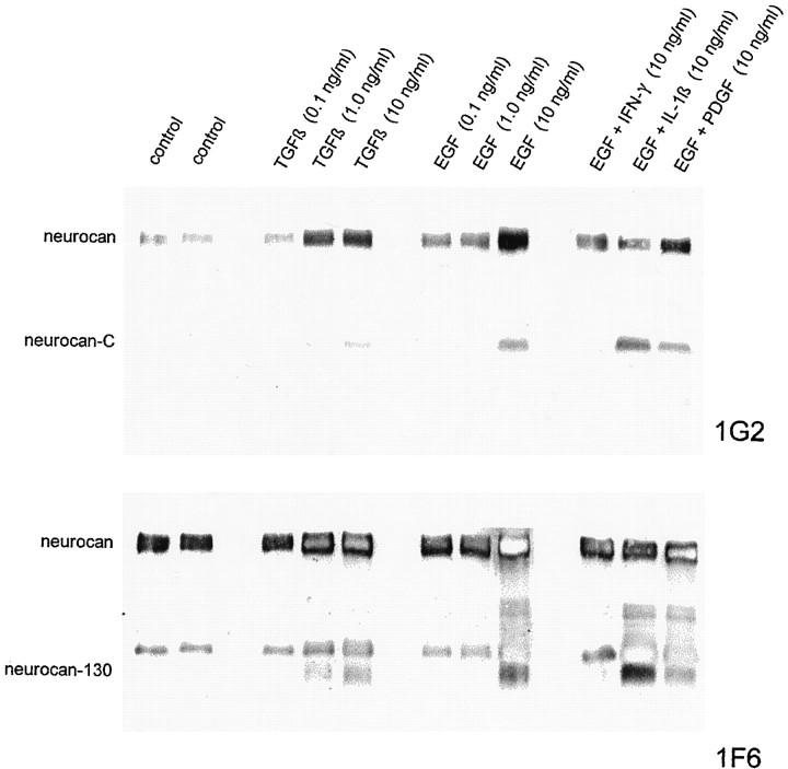 Fig. 10.