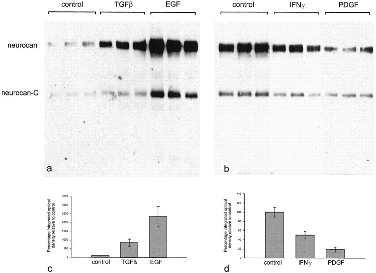 Fig. 11.