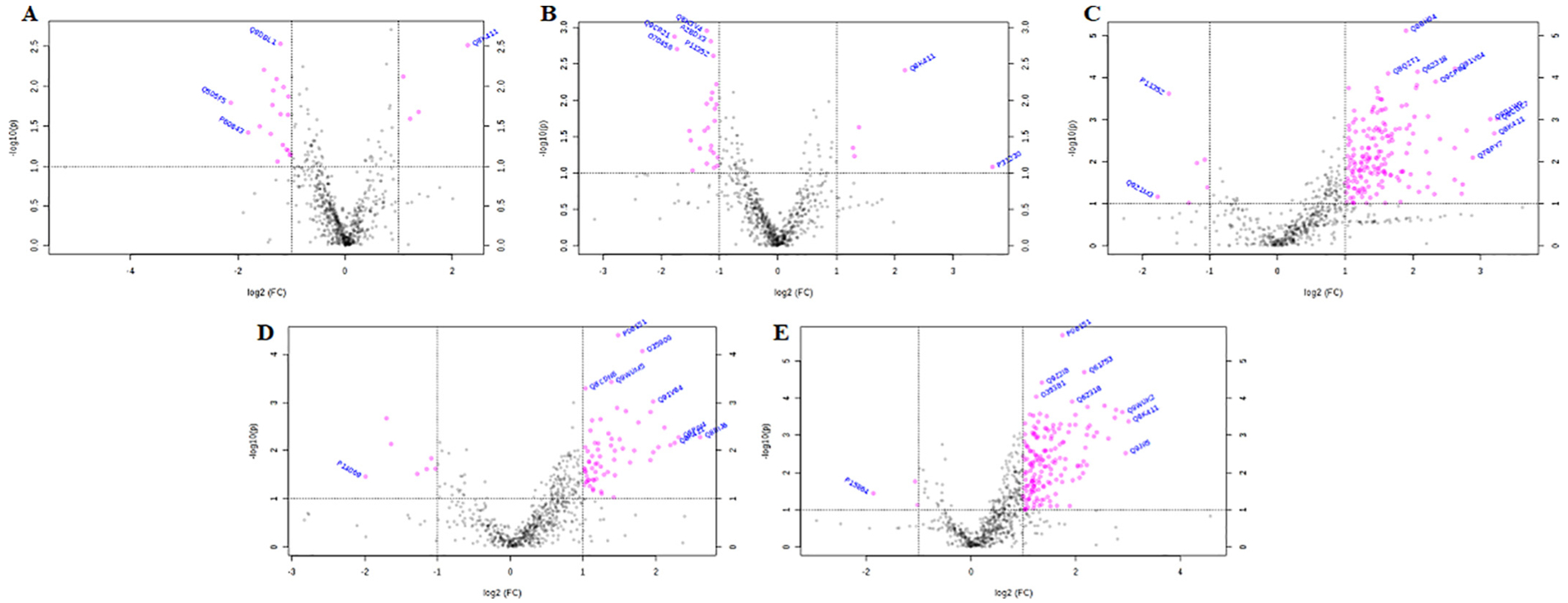 Fig. 9.