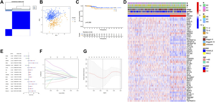 FIGURE 2