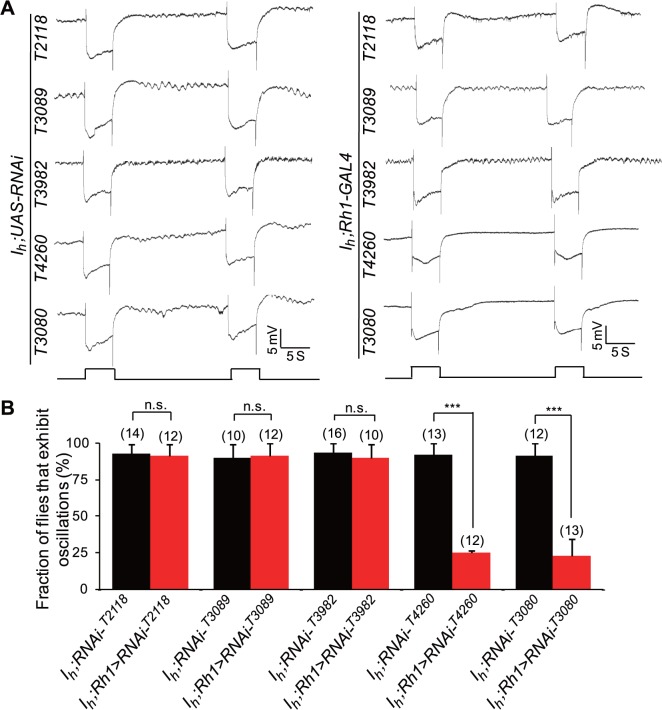 Fig 10