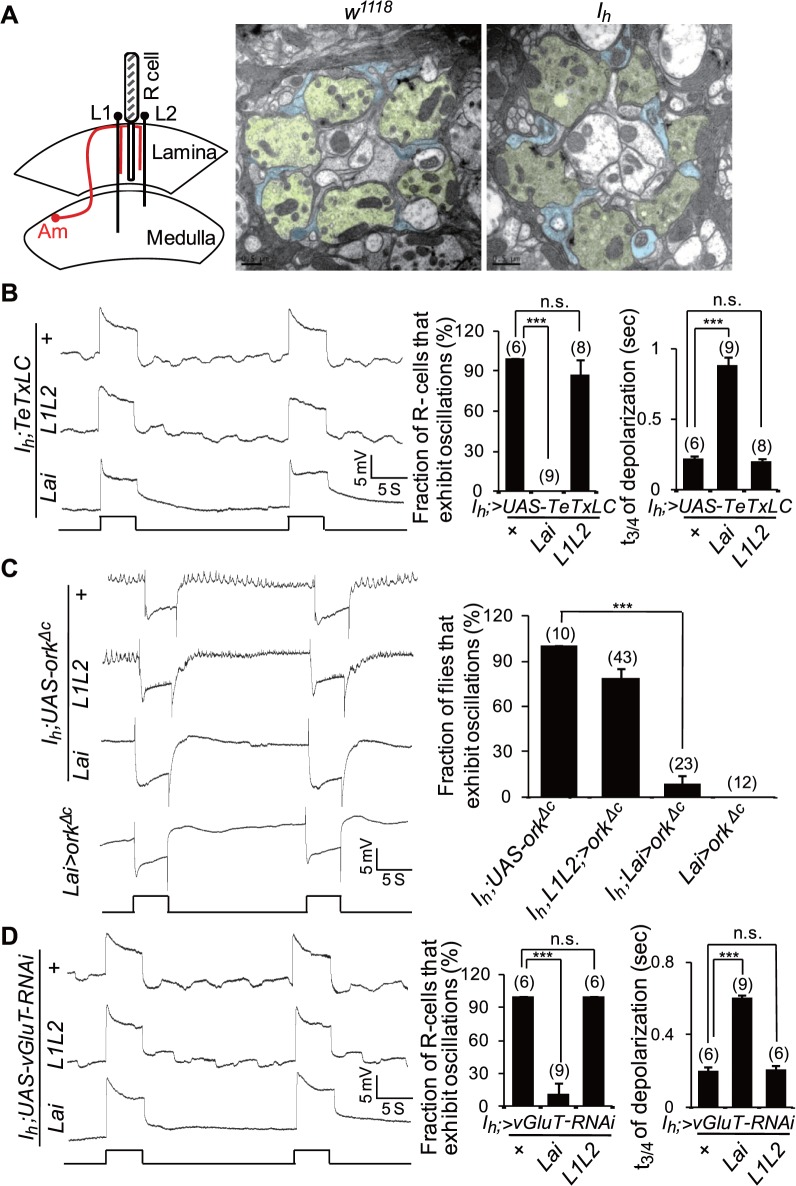 Fig 8