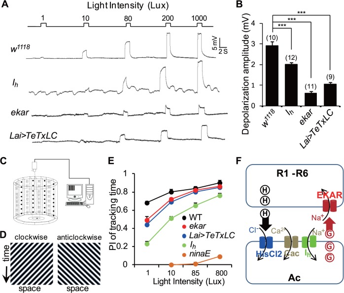 Fig 12