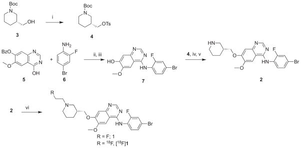 Scheme 1