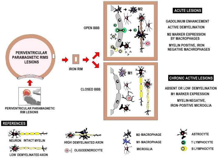 Figure 5