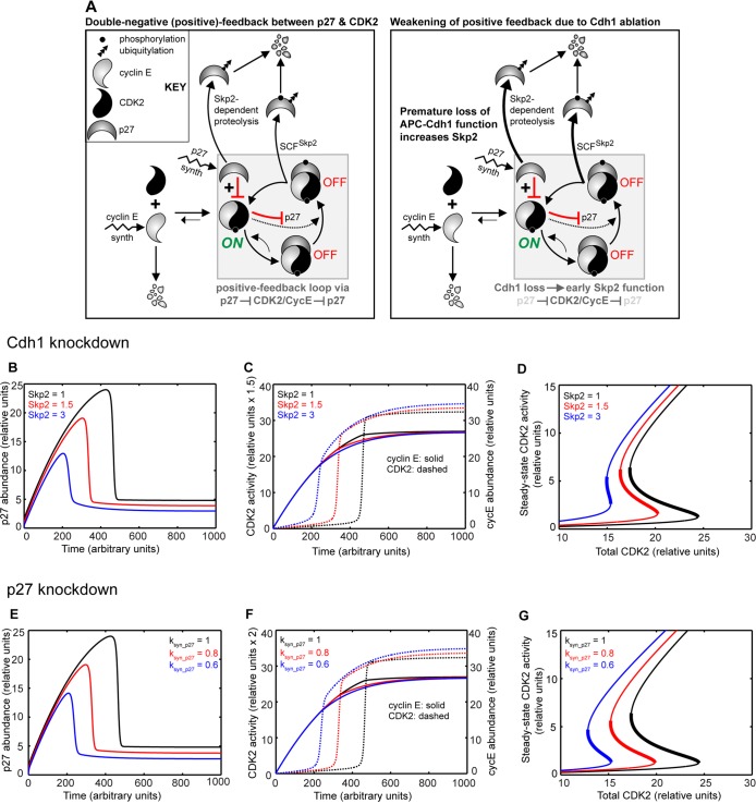 FIGURE 9: