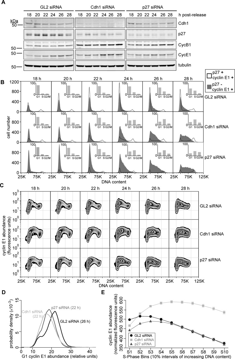 FIGURE 6: