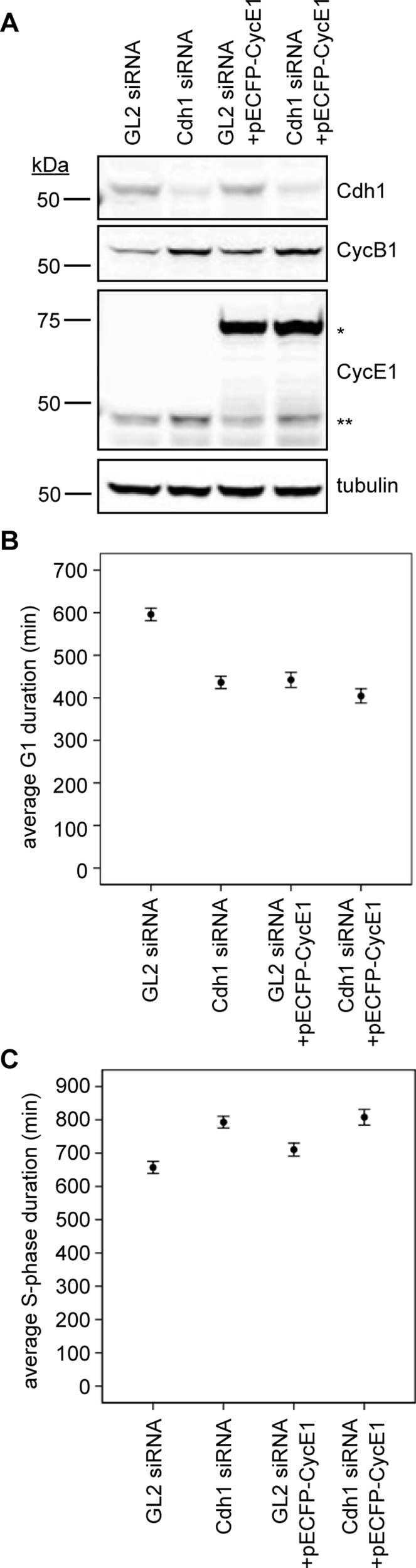 FIGURE 7: