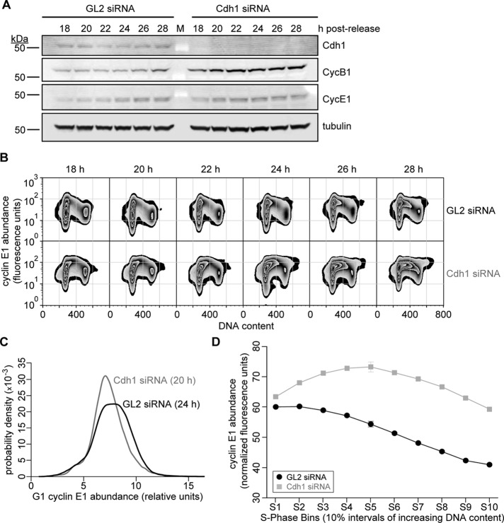 FIGURE 5: