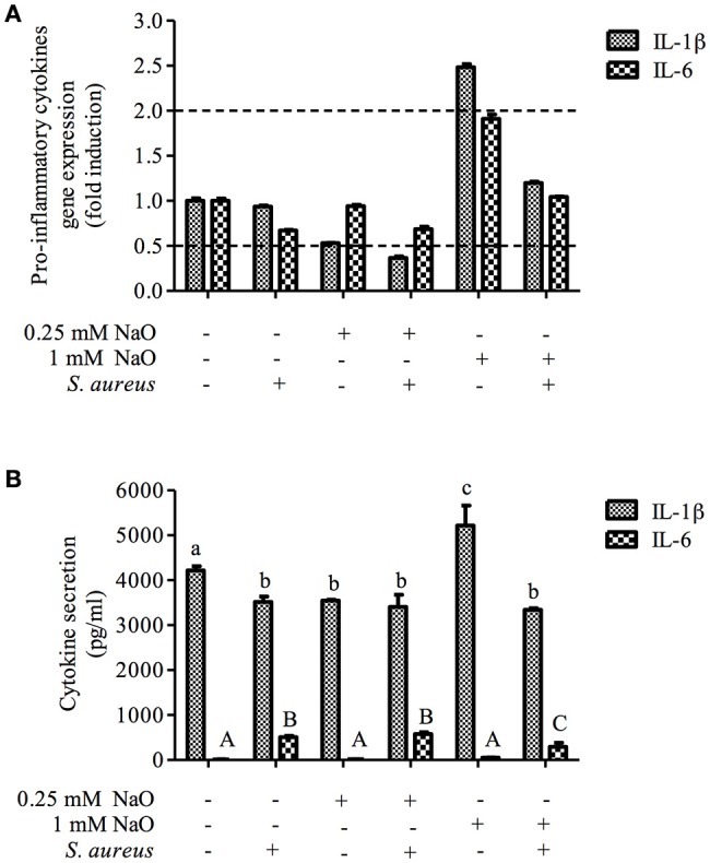 Figure 6