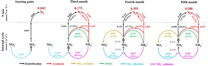 Fig. 4