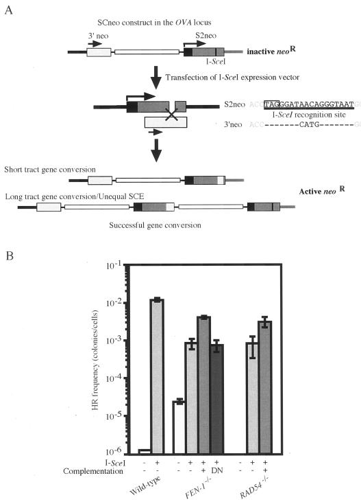 FIG. 4.