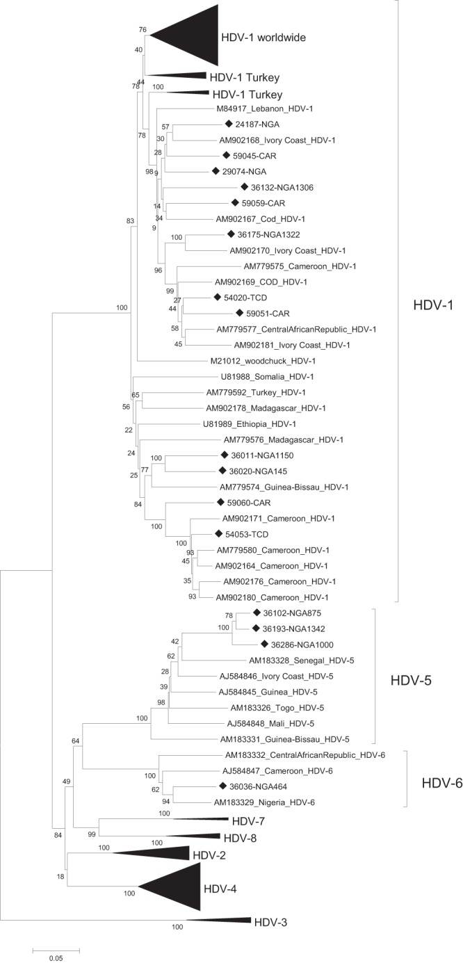 FIG 1