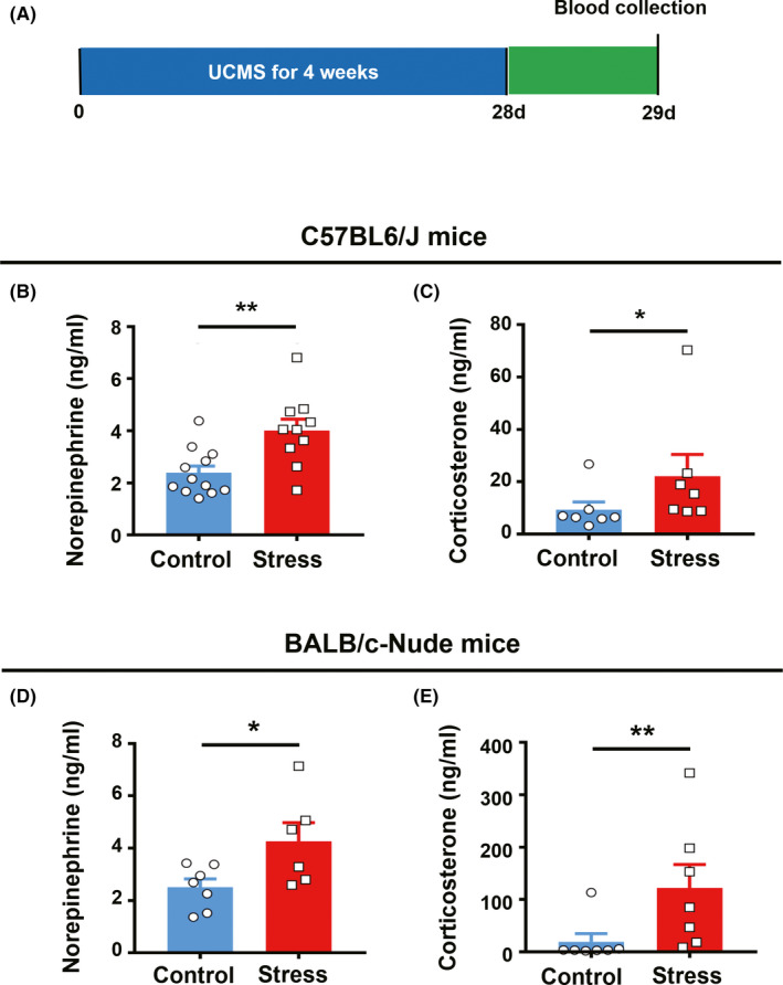 FIGURE 2