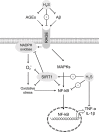 Fig. (3)