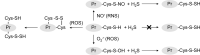 Fig. (2)