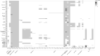 Fig 9