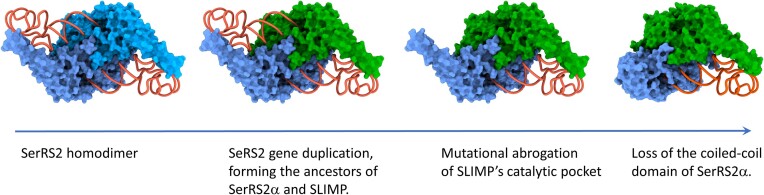 Figure 6.