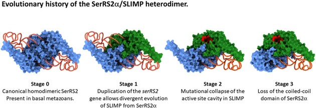 Graphical Abstract