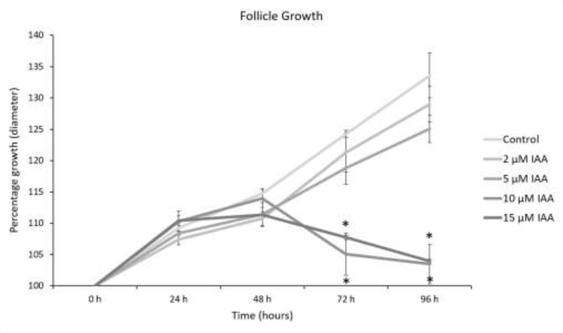 Fig.1.