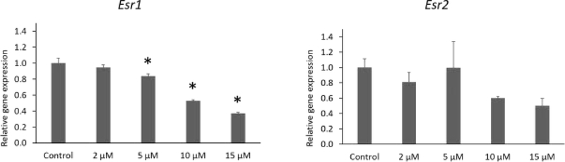 Fig.6.