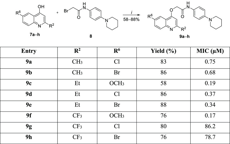 Scheme 2