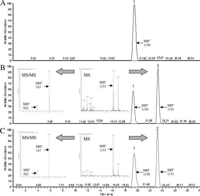 FIG. 2.