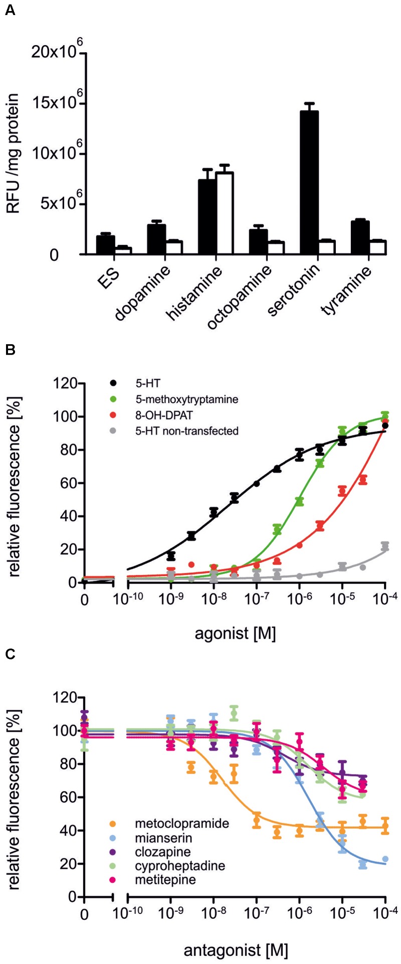 FIGURE 4