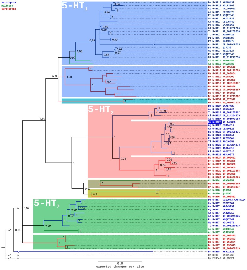 FIGURE 3