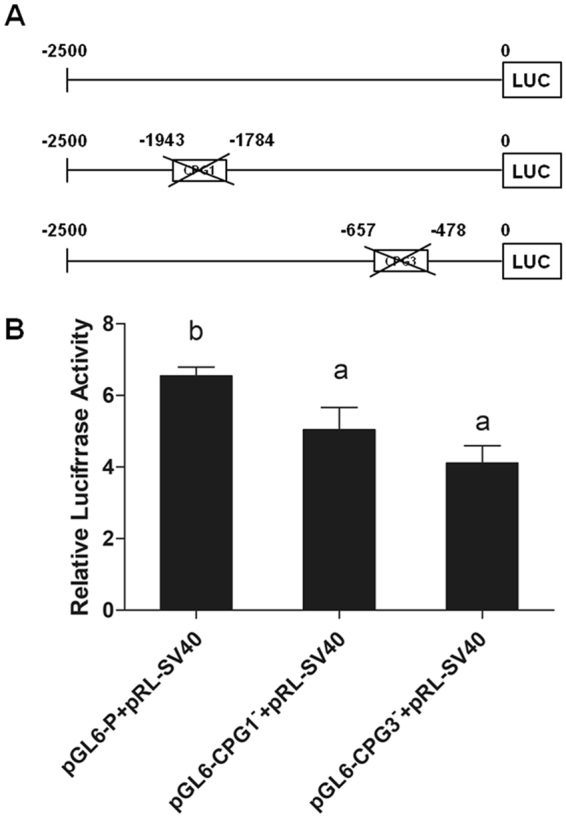 Figure 10