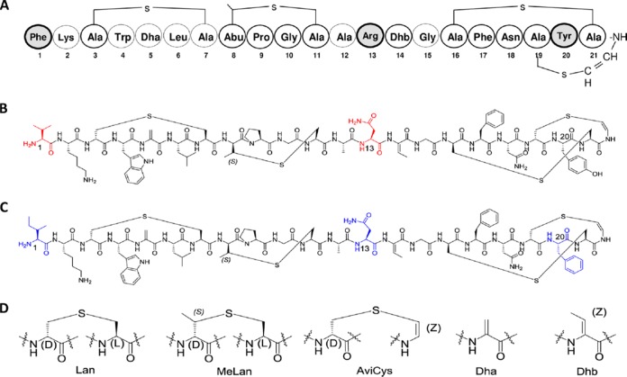 FIG 1