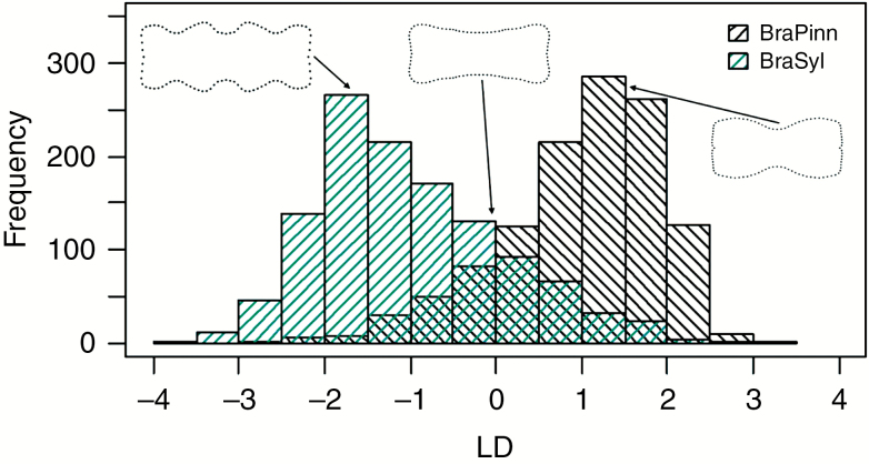 Fig. 6.