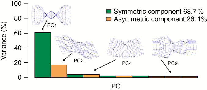 Fig. 3.