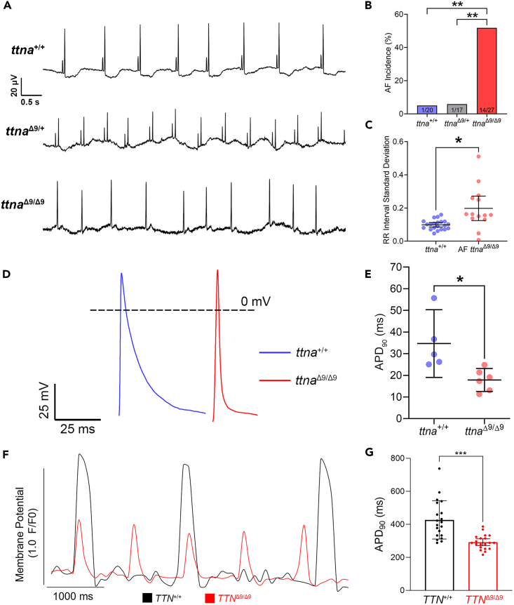 Figure 5