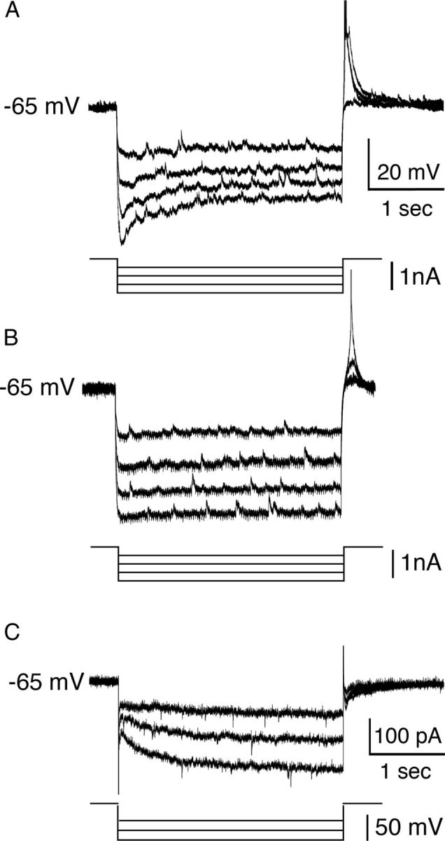 Figure 7.