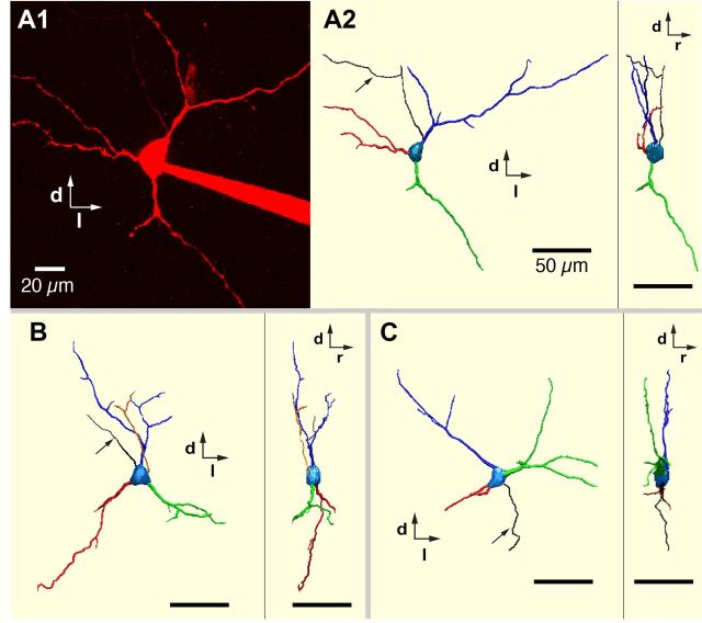 Figure 11.