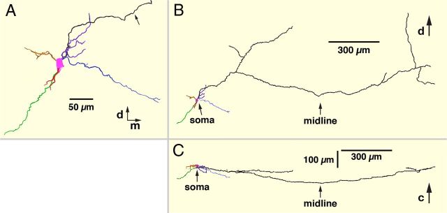 Figure 9.