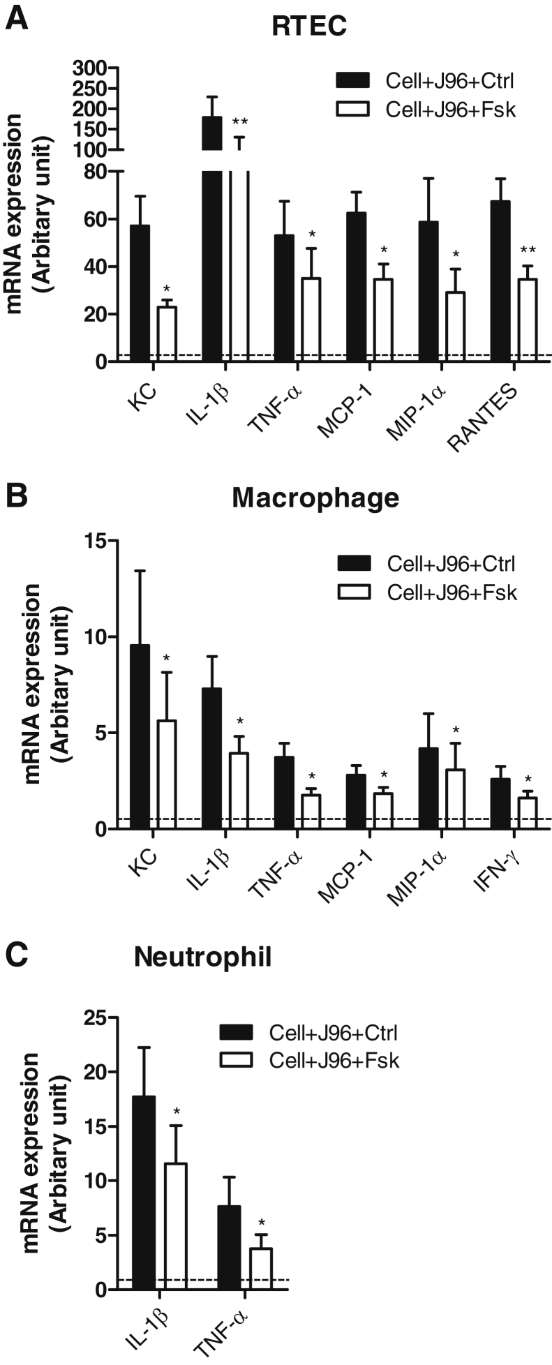 Figure 5