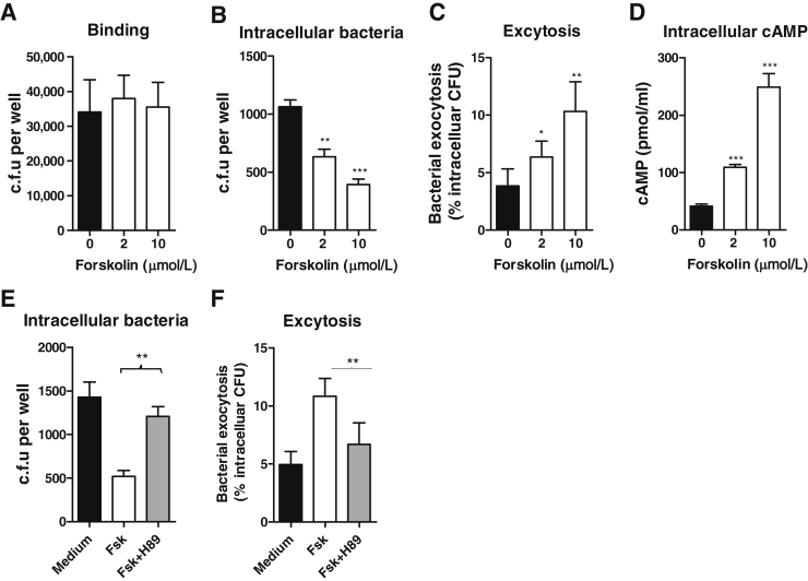 Figure 6