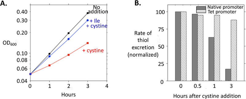 Figure 6.